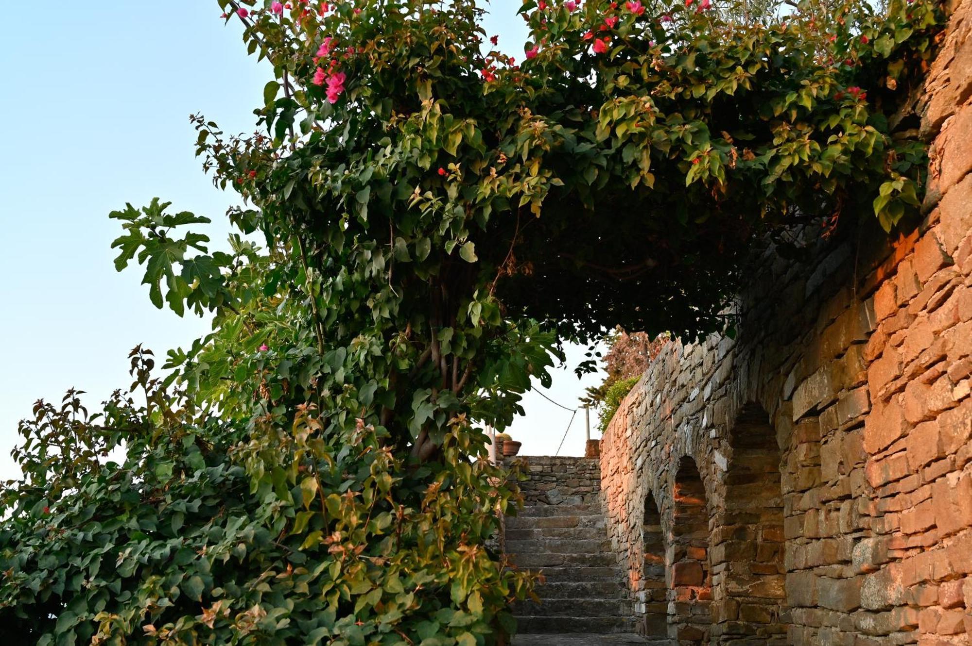 Albeca Boutique Hotel - Relais De Charme Sul Mare Castellabate Exterior photo